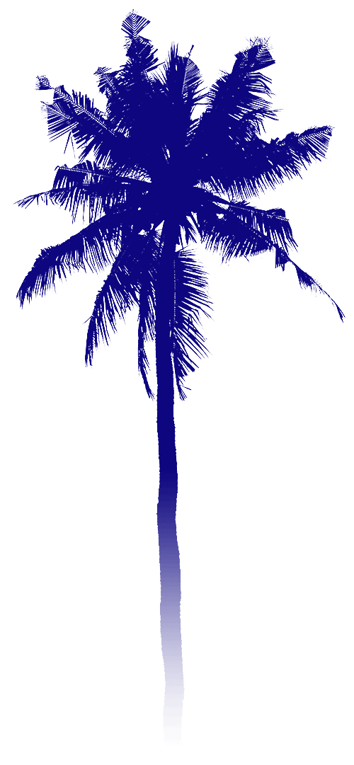 palmtree2small.png